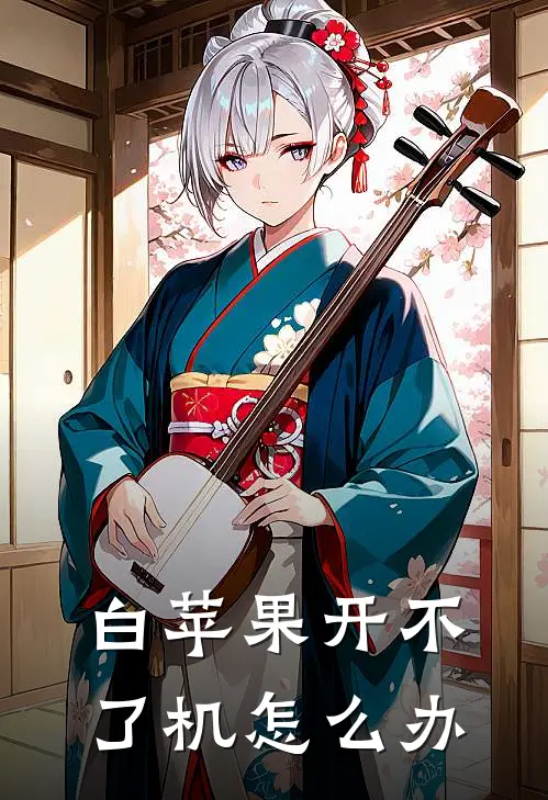 白苹果开不了机怎么办