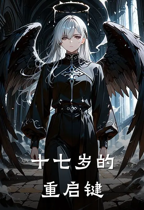 十七岁的重启键